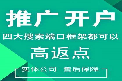 百度搜索推广案例解析：优化策略大揭秘